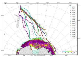 full map of humpback whale tracks since late September   